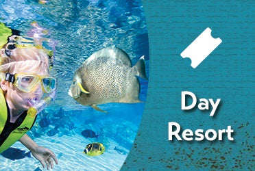Discovery Cove Day Resort Admission
