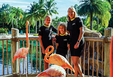 Discovery Cove Flamingo Mingle