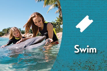 Discovery Cove Signature Dolphin Swim Admission